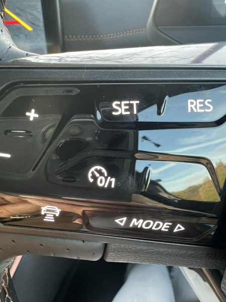 Any Seat or CUPRA drivers? What does this button on the steering wheel mean?