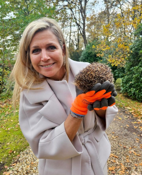 Royal Style: Never knowingly under-jewelled, let's be like Daisy and shine!