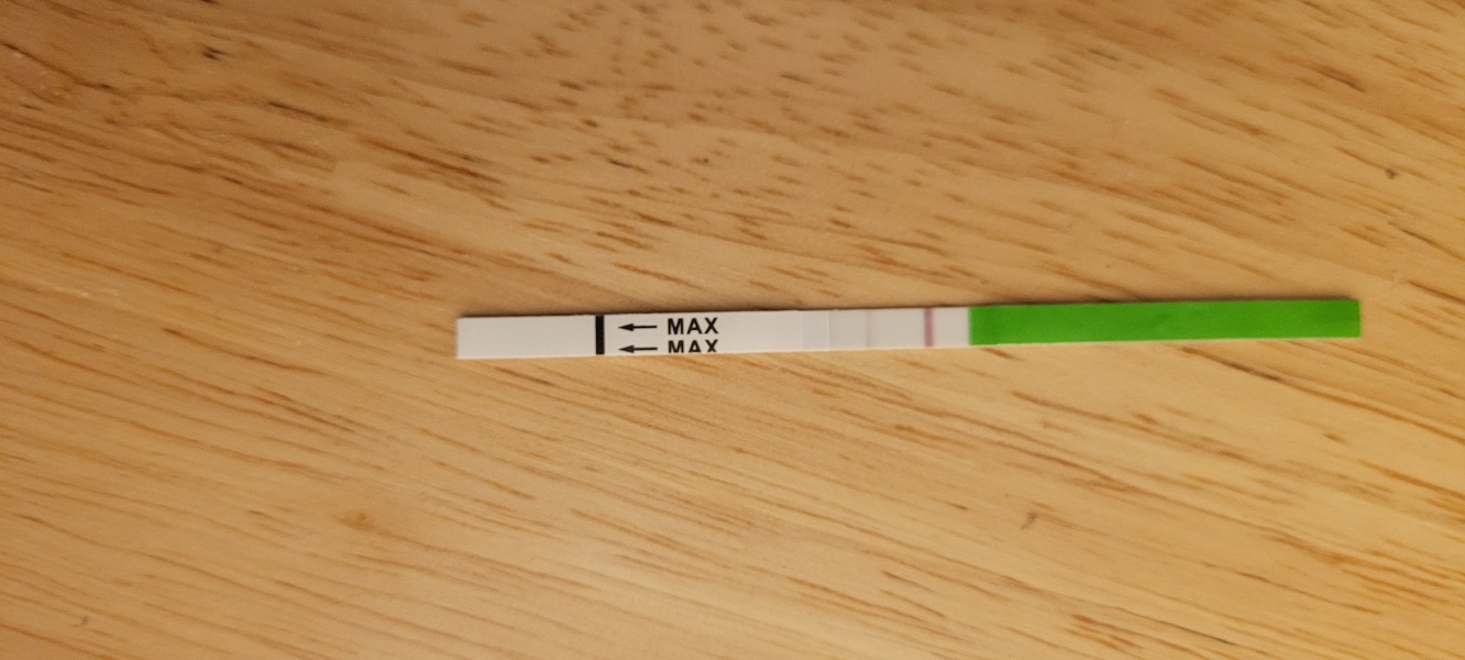 Positive ovulation test?