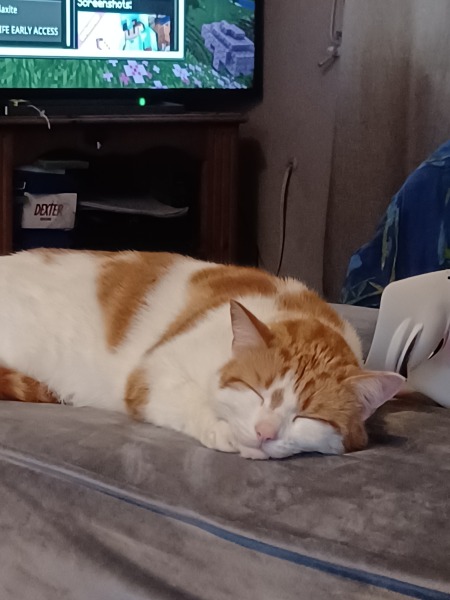 Let's see your best "Loaf of Doom" pics!