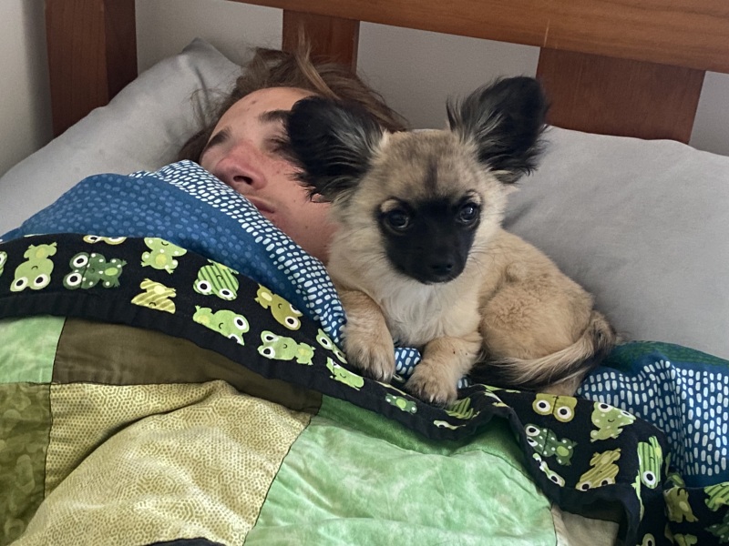 Puppy Survival Thread - for old and new pups