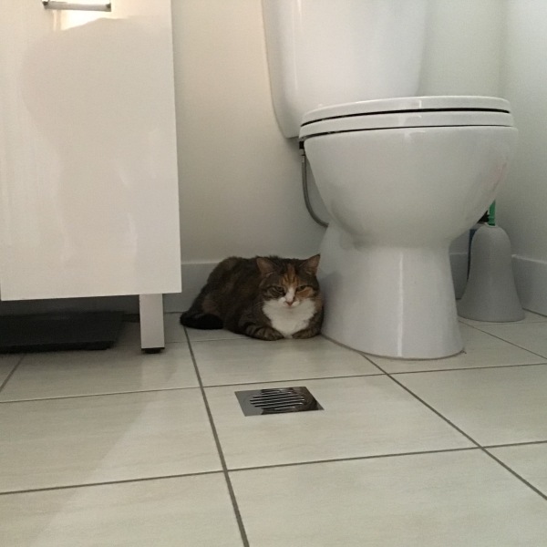 Let's see your best "Loaf of Doom" pics!