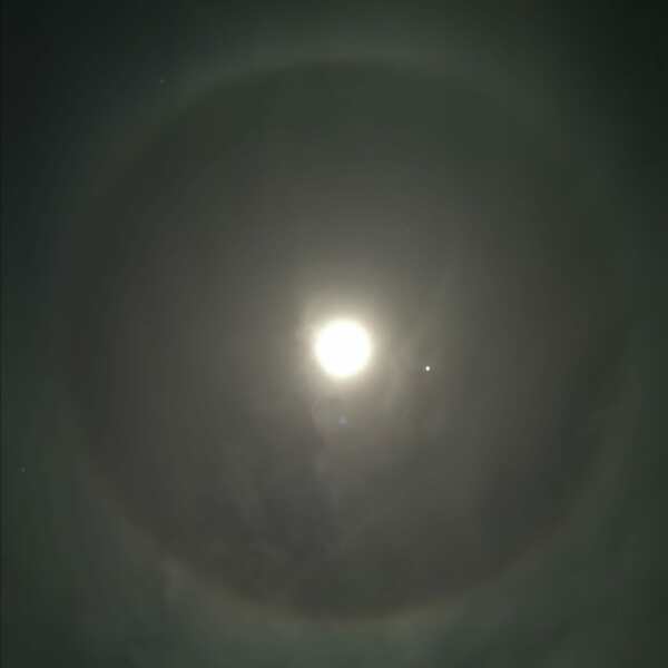 The Moon just now (pic)