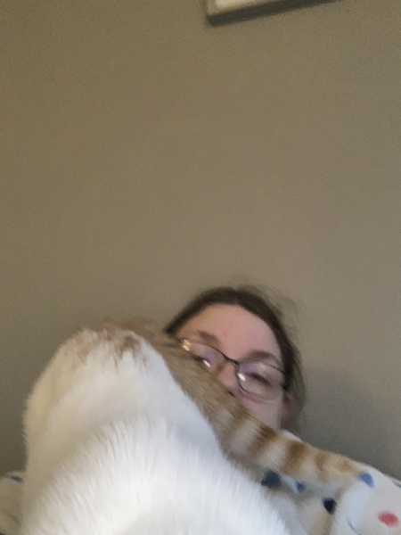 Not once in my life have I ever said "I wish a cat would climb on me and then stick its bum right in my face."