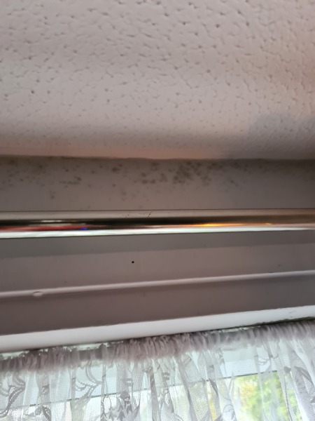 Mould should housing pay for beds