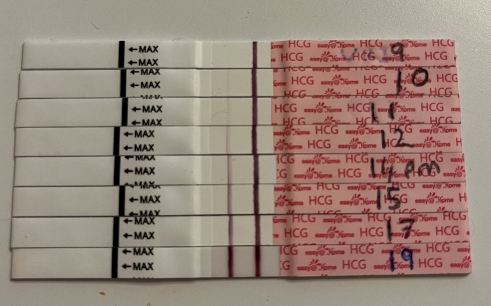 Bonking our way to BFPs: rainbow babies due Spring/Summer 24'