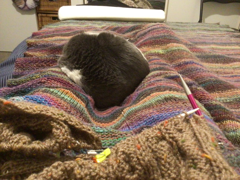 Let's see your best "Loaf of Doom" pics!