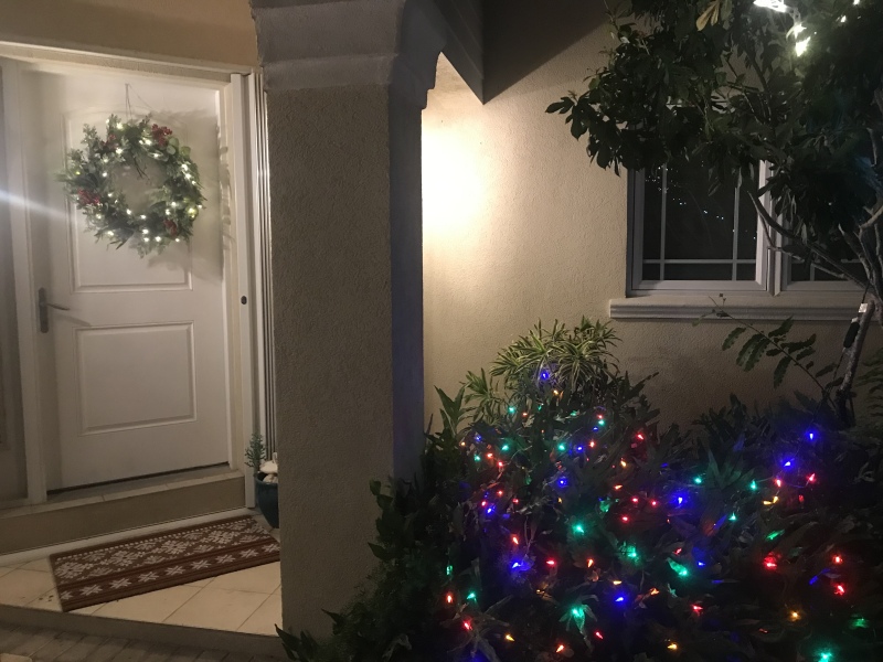 To put up Christmas lights outside to cheer up DS even though it’s November?