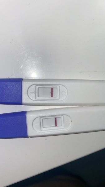 What does this look like?