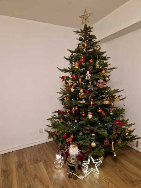 The ultimate SHOW US YOUR TREE megathread!