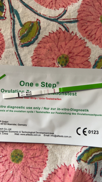 Positive ovulation test?