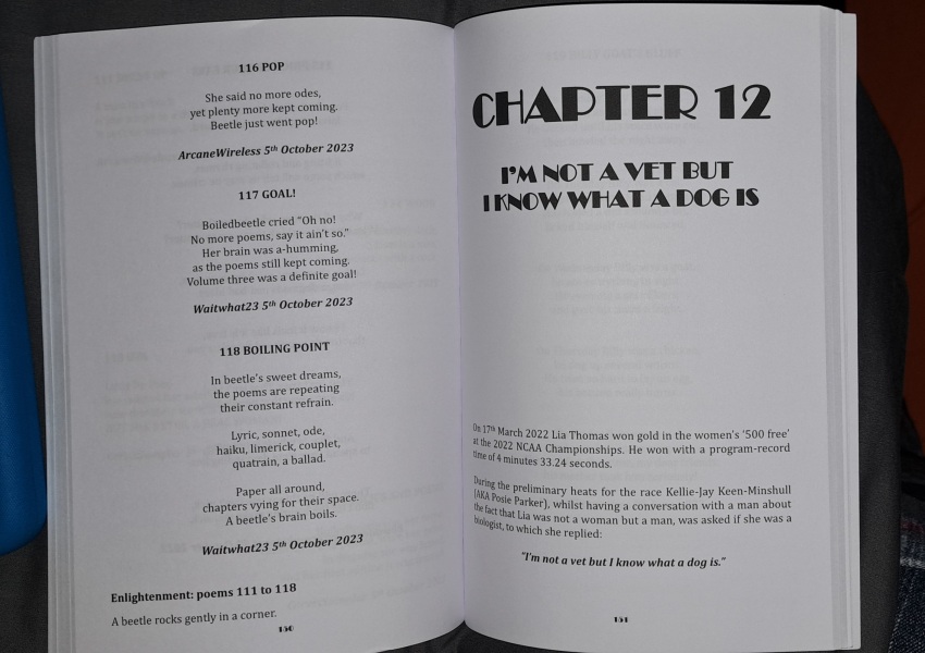 Lurking Merkins - Volume Two of Under the Duvet of Darkness