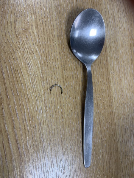 What the hell is this in my soup?