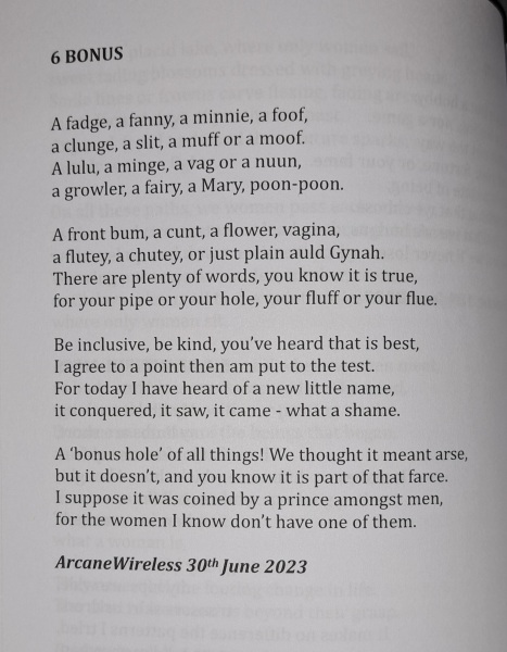 Lurking Merkins - Volume Two of Under the Duvet of Darkness