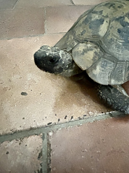 Come and tell me your dull and unexciting news 27: Calmly through the day