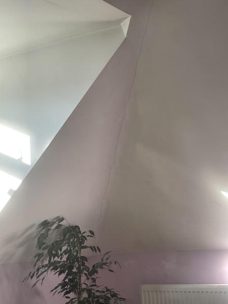 Would this crack worry you?