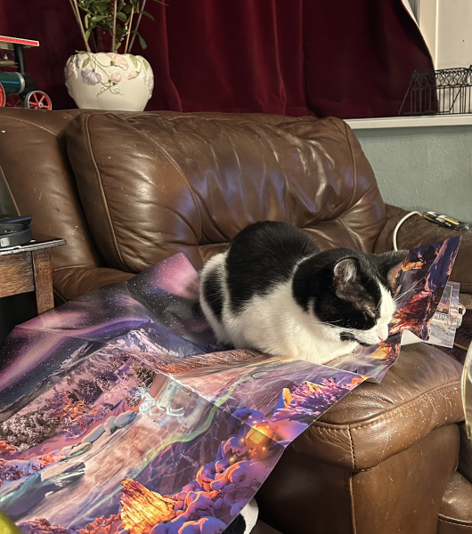 Let's see your best "Loaf of Doom" pics!
