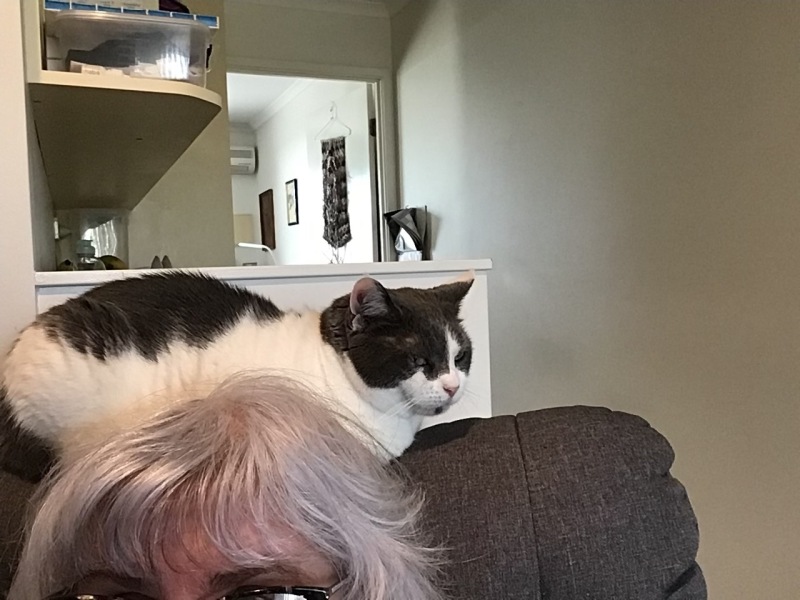 Let's see your best "Loaf of Doom" pics!