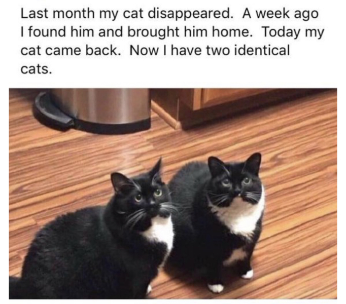 Help me solve this strange mystery?!?!