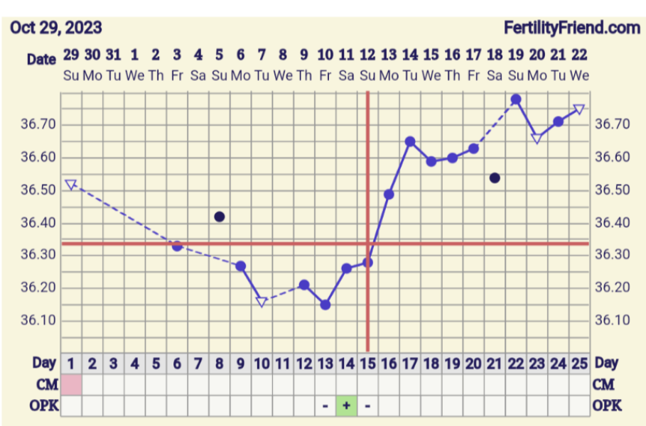 BBTing our way to a BFP in September 🎉 cont.