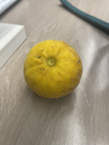 Fruit identification