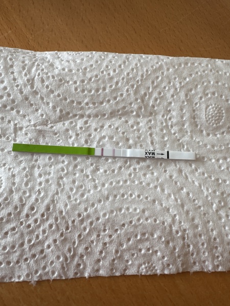 Ovulation test can it detect pregnancy