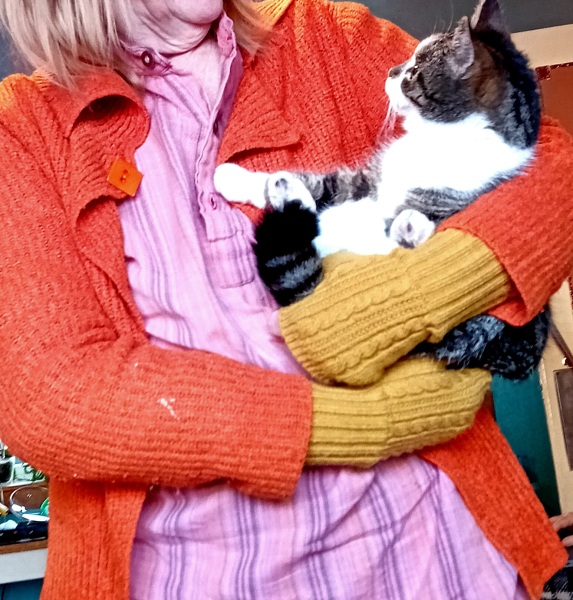 The Very Eventful Lives of the Excellent Cats