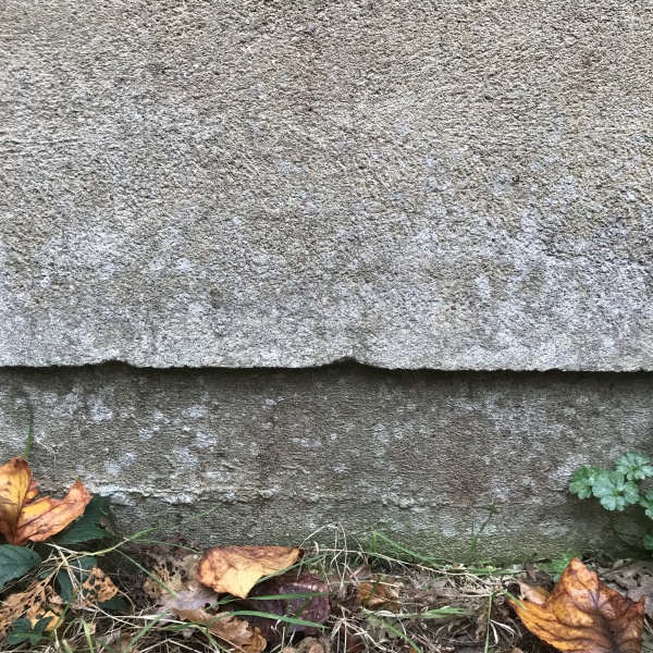 Where to start with damp and mould