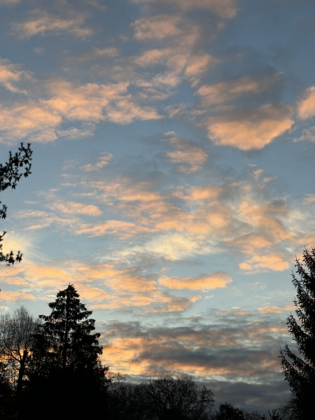 Come and tell me your dull and unexciting news 27: Calmly through the day