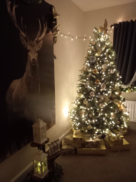 The ultimate SHOW US YOUR TREE megathread!