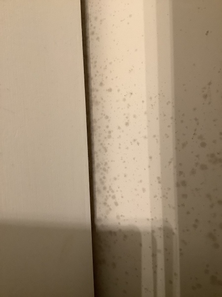 Why is my house so damp when it never used to be this bad?