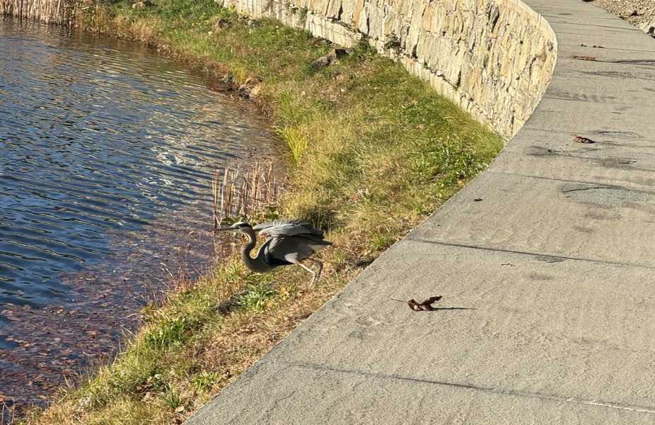 Come and tell me your dull and unexciting news 27: Calmly through the day