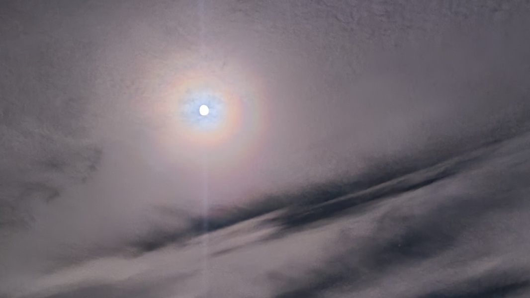 The Moon just now (pic)