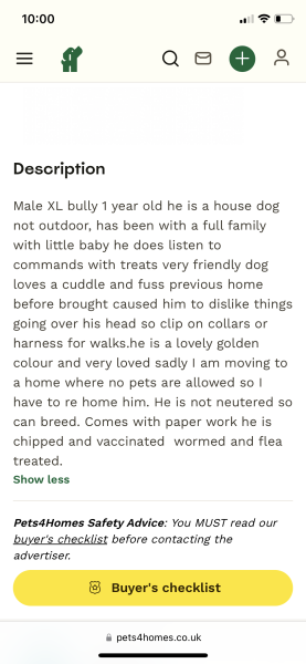 Pets4Homes full of XL bully puppies