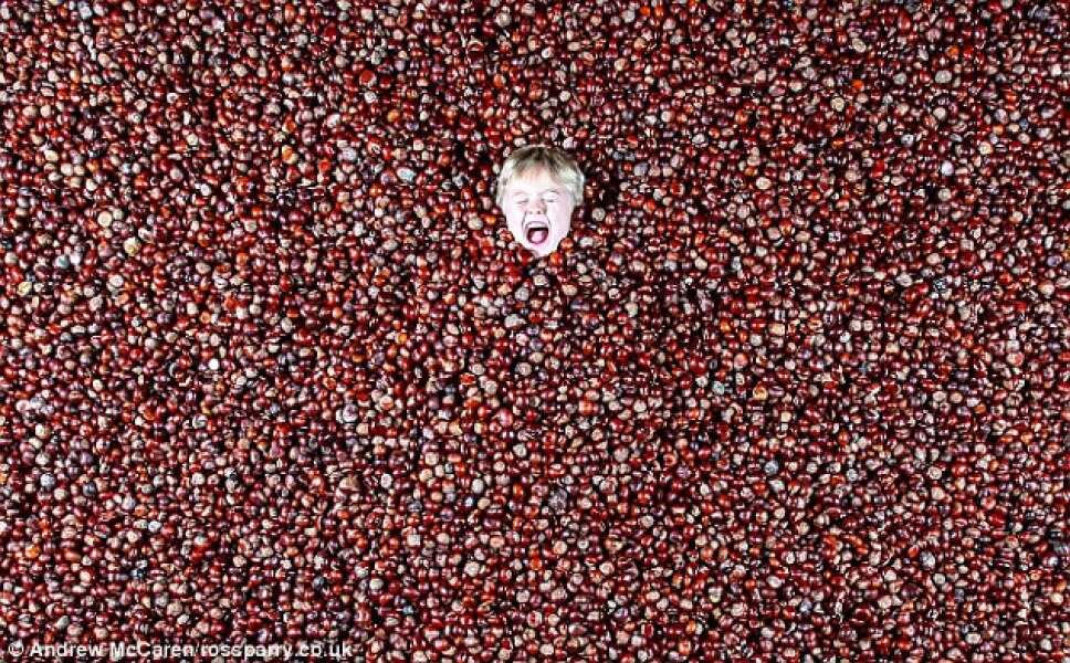 I'm a Celebrity...get me out of here! Coming soon....