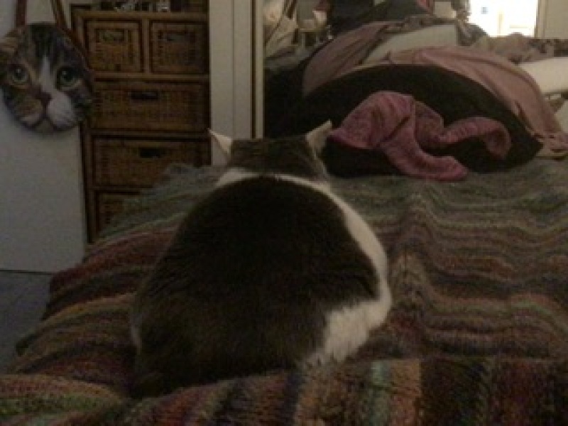 Let's see your best "Loaf of Doom" pics!