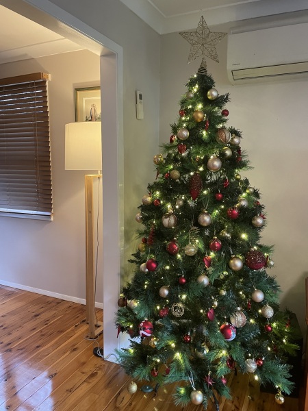 The ultimate SHOW US YOUR TREE megathread!