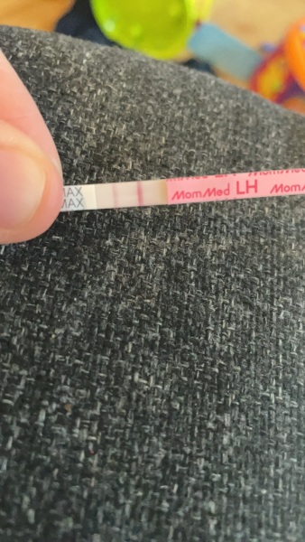 Ovulation line eyes
