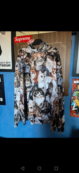Help me find this ugly cat jumper please??