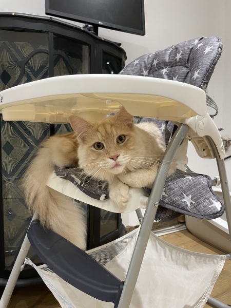 Stage IV cancer? Incurable? Roll up, roll up, this thread is for you!