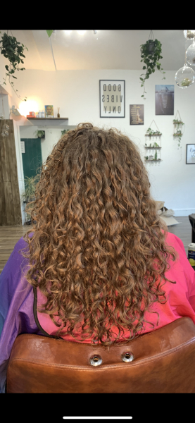 Ridiculous comments about red hair