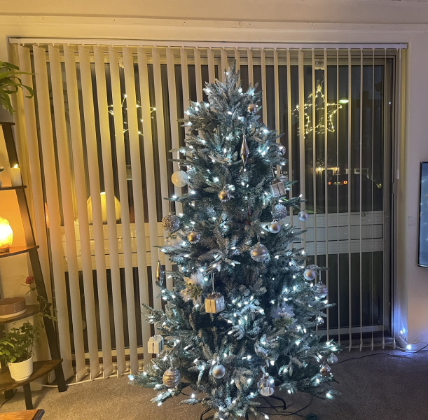 The ultimate SHOW US YOUR TREE megathread!