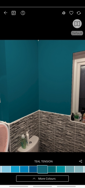 What colour for bathroom? Pics included