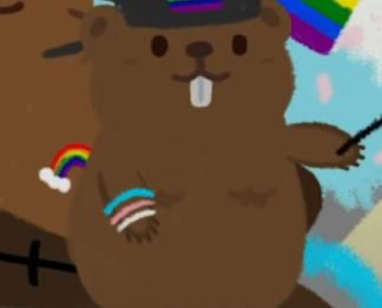 Trans/pride flag in children's stickers