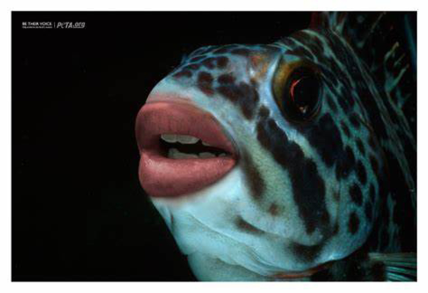 MAFSUK 10 - it puts the filler in its skin or else it gets the hose again.  It rubs the shiny lotion on its skin - it does this whenever it is told.   It should really have just put the lotion in the basket and not their face … precious.