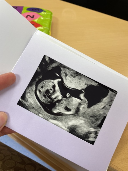 Nub theory prediction wrong?