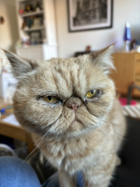 Potential new inmate at Toddler Towers.