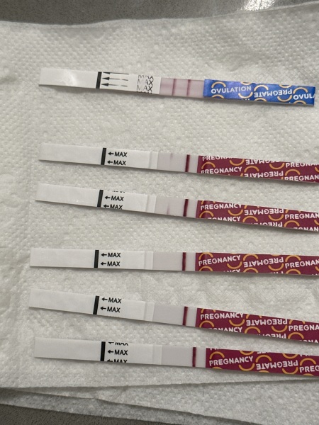 Clear blue test. Evap line or positive