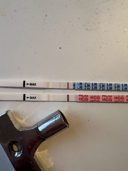 TWW - 2DPO who's with me?