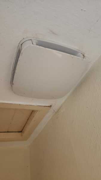 What is this and why did it wake us all up screaming at stupid o clock this morning?